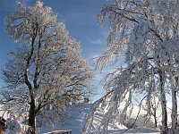 Salita con ciaspole da Moruna di Aviatico al Monte Poieto carico di tanta neve fresca (febbraio 09) - FOTOGALLERY